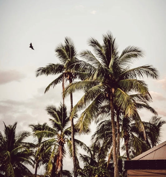 Top Travel Destinations 2023